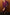 Thumbnail for caption_Model is 5ft5” and wears UK size 10/ US 6