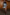 Thumbnail for caption_Model is 5ft7” and wears UK size 10/ US 6