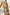 Thumbnail for Sheer-Gold-Ditsy-Wrap-Dress-£79