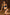 Thumbnail for Black Chilli Bikini - nfd-demo-dev