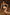 Thumbnail for Black Chilli Bikini - nfd-demo-dev