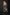 Thumbnail for Black Viscose Forrest Midi Dress - nfd-demo-dev