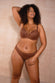 Dark Mousse Fake Tan - nfd-demo-dev