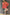 Thumbnail for Grapefruit Oversized Shirt - nfd-demo-dev