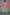 Thumbnail for Grapefruit Oversized Shirt - nfd-demo-dev