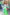 Thumbnail for Green Fruit Sticker Bomber - nfd-demo-dev
