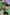 Thumbnail for Green Fruit Sticker Shirt - nfd-demo-dev