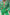 Thumbnail for Green Fruit Sticker Shirt - nfd-demo-dev