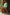 Thumbnail for Green Fruit Sticker Swimsuit - nfd-demo-dev
