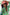 Thumbnail for Green Fruit Sticker Swimsuit - nfd-demo-dev