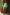 Thumbnail for Green Fruit Sticker Swimsuit - nfd-demo-dev