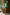 Thumbnail for Green Fruit Sticker Swimsuit - nfd-demo-dev