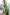 Thumbnail for Green Spring Print Jemelle Dress - nfd-demo-dev