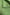 Thumbnail for Green S/S Knit Midi Dress - nfd-demo-dev