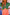 Thumbnail for Hala Dress - nfd-demo-dev