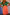 Thumbnail for Hala Dress - nfd-demo-dev