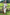 Thumbnail for Ivory Patchwork Print Wrap Dress - nfd-demo-dev