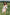 Thumbnail for Ivory Patchwork Print Wrap Dress - nfd-demo-dev