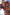 Thumbnail for Multi Lucy Lucia Sheer Dress - nfd-demo-dev