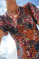 Multi Lucy Lucia Sheer Dress - nfd-demo-dev