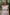 Thumbnail for Multi Star Dress - nfd-demo-dev