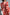 Thumbnail for Red-and-Pink-Forrest-Print-Top-£69