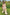 Thumbnail for NFD-Kids-Cream-Kindness-Jumpsuit-£49