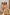 Thumbnail for NFD-Kids-Orange-Grove-Tiered-Dress-£49