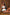 Thumbnail for Rouche-Front-Paola-Bikini-£49
