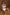 Thumbnail for Rouche-Front-Paola-Bikini-£49
