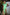 Thumbnail for Pineapple-Jaspre-£59