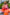 Thumbnail for NFD-Kids-Sunrise-Tiered-Dress-£65